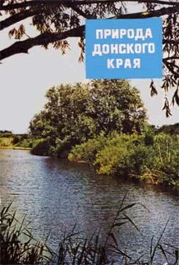 Сборник Природа донского края обложка книги