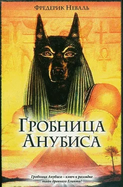 Фредерик Неваль Гробница Анубиса обложка книги