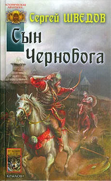 Сергей Шведов Сын Чернобога обложка книги