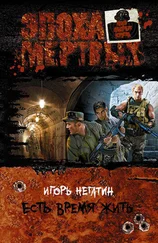 Игорь Негатин - Есть время жить