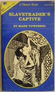 Mark Townsend Slavetrader's captive обложка книги