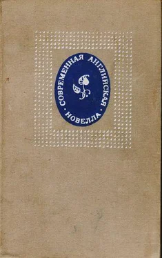 Владимир Скороденко Предисловие к сборнику Современная английская новелла обложка книги