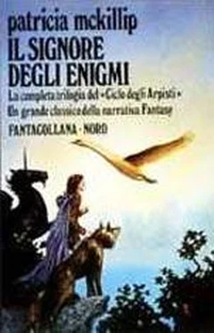 Patricia McKillip Il Maestro degli Enigmi di Hed обложка книги