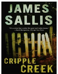 James Sallis - Cripple Creek