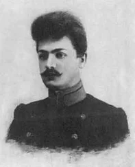 Николай Крашенинников - Целомудрие