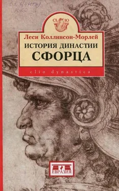 Леси Коллинсон-Морлей История династии Сфорца обложка книги