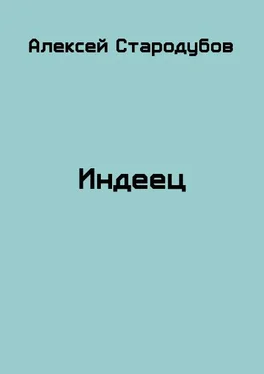 Алексей Стародубов Индеец (СИ) обложка книги