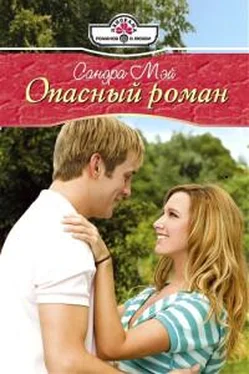 Сандра Мэй Опасный роман обложка книги