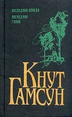 Кнут Гамсун Последняя глава обложка книги