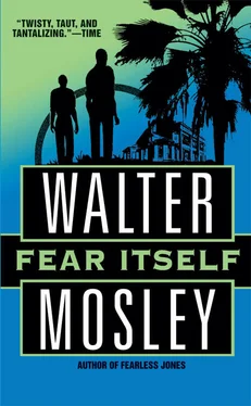 Walter Mosley Fear Itself обложка книги