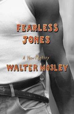 Walter Mosley Fearless Jones обложка книги