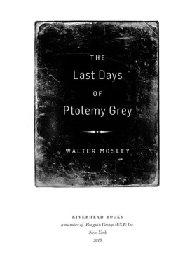 Walter Mosley The Last Days of Ptolemy Grey обложка книги