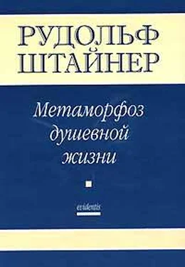 Рудольф Штайнер Метаморфозы Душевной жизни. Путь внутреннего опыта. Часть 1 обложка книги