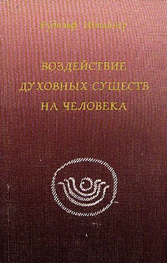 Рудольф Штайнер Воздействие духовных существ в человеке обложка книги