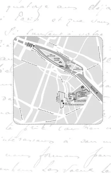 Do I want to kiss my French tutor because Ive had a fight with my wife - фото 14