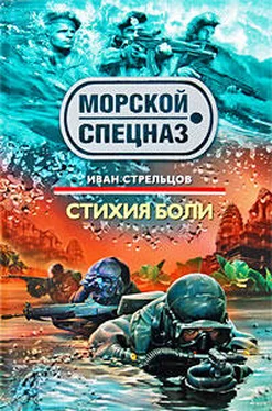 Иван Стрельцов Стихия боли обложка книги