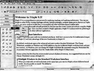 Рис 13 Окно системы Maple 95 со стандартным интерфейсом и загруженным - фото 4