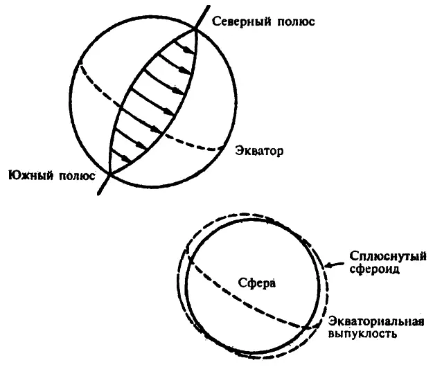 Центробежная сила и экваториальная выпуклость Ученые обычно когда у них - фото 7