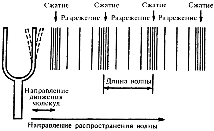 Звуковые волны Расстояние между точками максимального сжатия или между - фото 31