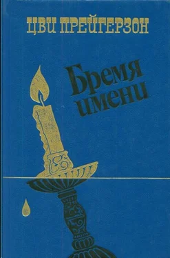 Цви Прейгерзон Бремя имени обложка книги