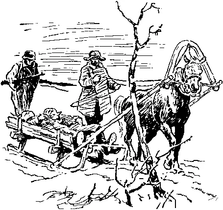 Ишь как их разукрасили подумал он не иначе как партизанская работа - фото 8