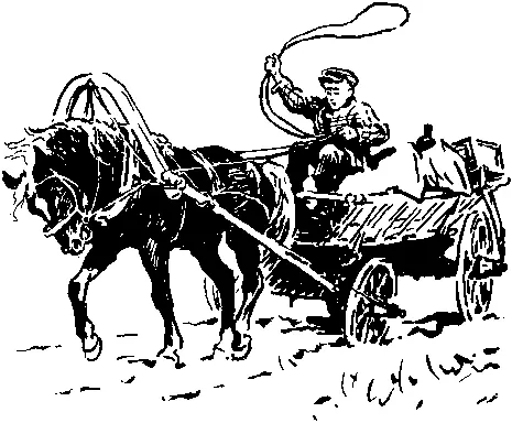 Коля пожал протянутую руку Да ты целым обозом пожаловал Петрусь открыл - фото 10