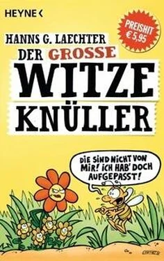 Hanns Laechter Der große Witze-Knüller обложка книги