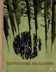 Дмитрий Елин - Партизаны Молдавии