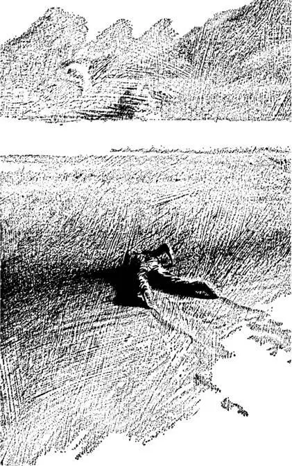 8 Die religiöse Adaption der Fremen ist der Ursprung dessen was wir jetzt - фото 15