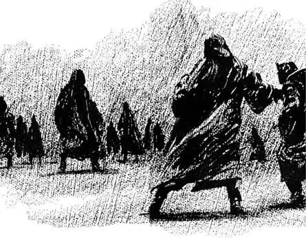 Dann sah Jessica etwas und sie hoffte inständig daß es Jamis nicht auffiel - фото 16