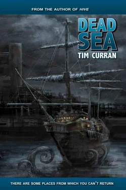 Tim Curran Dead Sea обложка книги