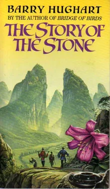 Barry Hughart The Story of the Stone обложка книги