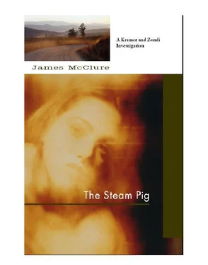 James McCure The Steam Pig обложка книги