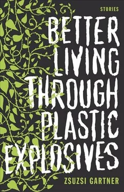 Zsuzsi Gartner Better Living Through Plastic Explosives обложка книги