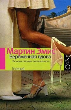 Мартин Эмис Беременная вдова обложка книги