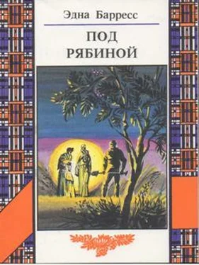 Эдна Барресс Под рябиной обложка книги