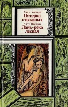 Александр Осипенко Пятёрка отважных. Лань — река лесная обложка книги