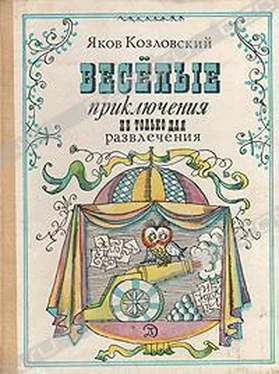 Яков Козловский Весёлые приключения — не только для развлечения обложка книги