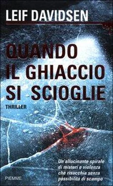 Leif Davidsen Quando il ghiaccio si scioglie обложка книги