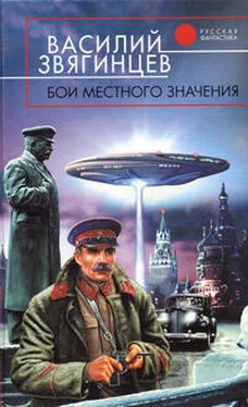 Василий Звягинцев Бои местного значения обложка книги