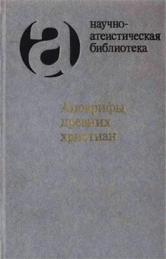 И. Свенцицкая Апокрифы древних христиан обложка книги