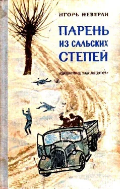 Игорь Неверли Парень из Сальских степей. Повесть обложка книги