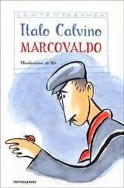 Italo Calvino Marcovaldo ovvero Le stagioni in città обложка книги