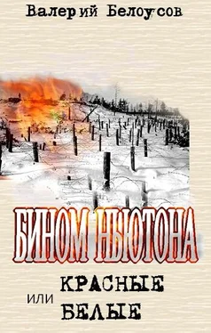 Валерий Белоусов Бином Ньютона, или Красные и Белые. Ленинградская сага. обложка книги