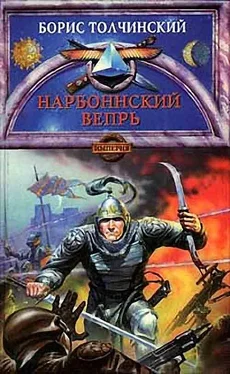 Борис Толчинский Нарбоннский вепрь обложка книги