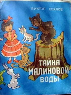 Виктор Хохлов Тайна малиновой воды обложка книги