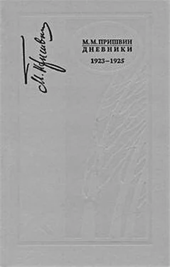 Михаил Пришвин Дневники 1923-1925 обложка книги