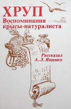 Александр Ященко Хруп. Воспоминания крысы-натуралиста обложка книги
