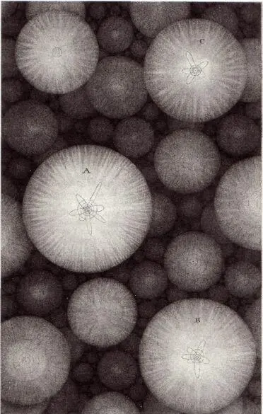 fig 7 fig 8 This is the Pleiades a set of young stars that have been - фото 12