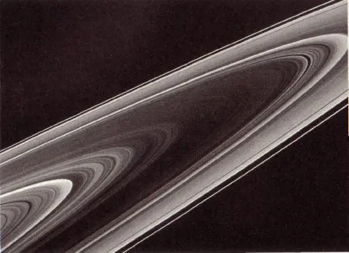 If you take a closeup look at this portion you can see a succession of rings - фото 21